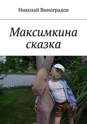 Николай Виноградов - Максимкина сказка