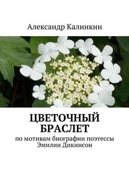 Александр Калинкин Цветочный браслет обложка книги