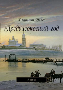 Дмитрий Углев Предвисокосный год обложка книги