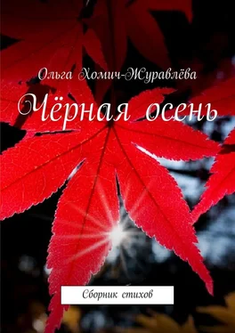 Ольга Хомич-Журавлёва Чёрная осень обложка книги