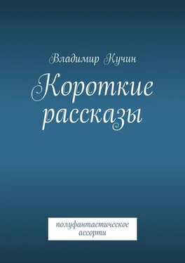 Владимир Кучин Короткие рассказы обложка книги