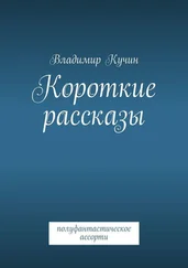 Владимир Кучин - Короткие рассказы