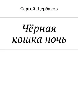Сергей Щербаков Чёрная кошка ночь обложка книги
