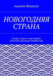 Адилия Моккули - Новогодняя страна