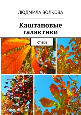 Людмила Волкова Каштановые галактики. стихи обложка книги