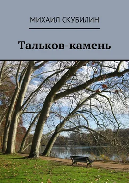 Михаил Скубилин Тальков-камень. Проза. Стихи. Тексты песен обложка книги