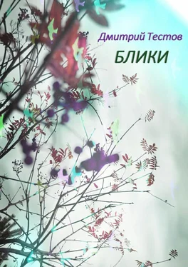 Дмитрий Тестов Блики обложка книги