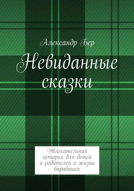 Александр Бер Невиданные сказки обложка книги