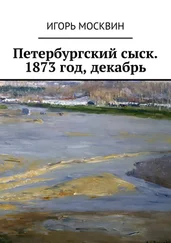 Игорь Москвин - Петербургский сыск. 1873 год, декабрь