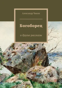 Александр Чикин Богоборец обложка книги