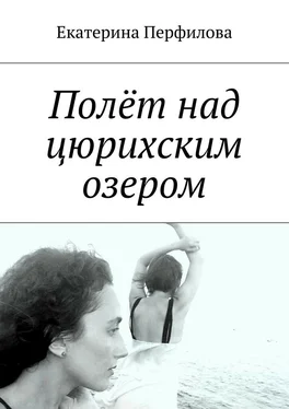 Екатерина Перфилова Полёт над цюрихским озером обложка книги
