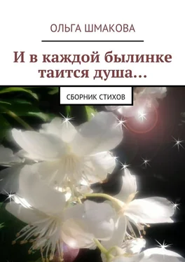 Ольга Шмакова И в каждой былинке таится душа… обложка книги