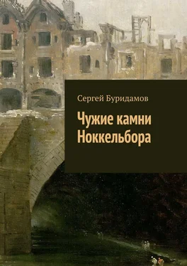 Сергей Буридамов Чужие камни Ноккельбора обложка книги