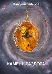 Владимир Маров - Камень раздора