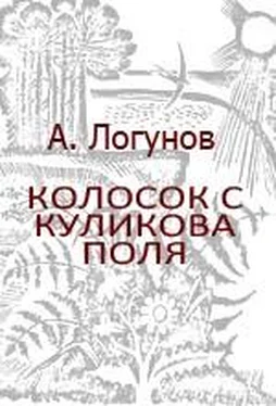 Алексей Логунов Колосок с Куликова поля обложка книги