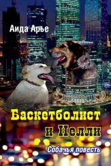 Аида Арье - Баскетболист и Нелли