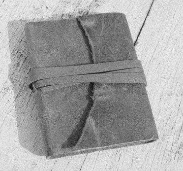 This from a diary of an ordinary man from Neenah Wisconsin Diary - фото 8