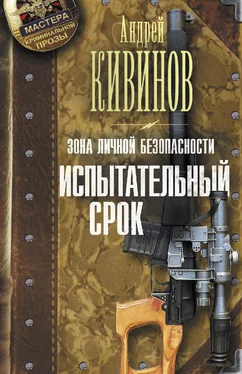 Андрей Кивинов Зона личной безопасности. Испытательный срок обложка книги