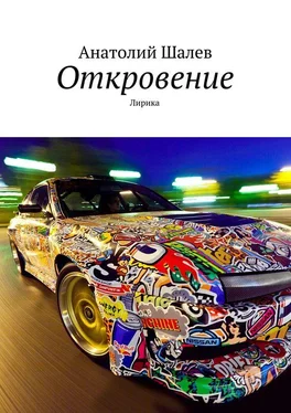 Анатолий Шалев Откровение обложка книги