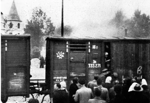 This is how we annihilate the enemies of Soviet power A rare photograph of - фото 24