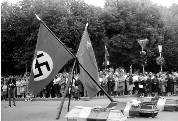 This demonstration at Šiauliai in Lithuania made the connection brutally - фото 40