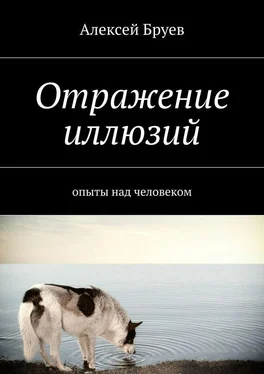 Алексей Бруев Отражение иллюзий обложка книги