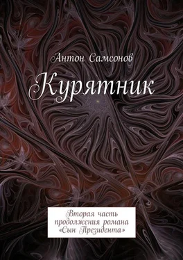 Антон Самсонов Курятник. Вторая часть продолжения романа «Сын Президента» обложка книги