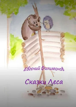 Евгений Филимонов Сказки Леса обложка книги