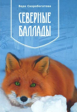 Вера Скоробогатова Северные баллады обложка книги