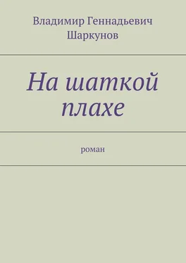 Владимир Шаркунов На шаткой плахе обложка книги