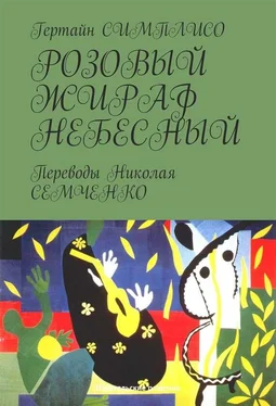 Гертайн Симплисо Розовый жираф небесный обложка книги