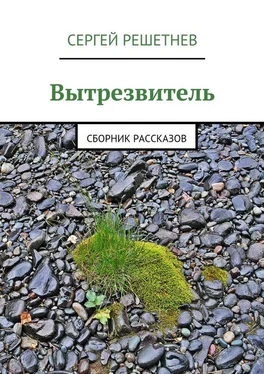 Сергей Решетнёв Вытрезвитель обложка книги