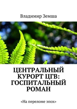 Владимир Земша Центральный курорт ЦГВ: Госпитальный роман обложка книги