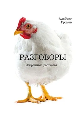 Альберт Громов Разговоры обложка книги