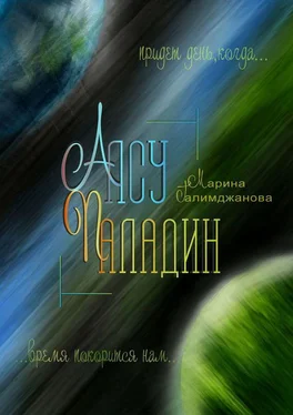 Марина Галимджанова Алсу Паладин обложка книги