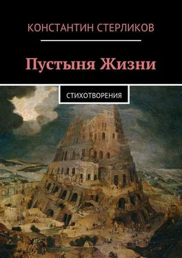 Константин Стерликов Пустыня Жизни обложка книги