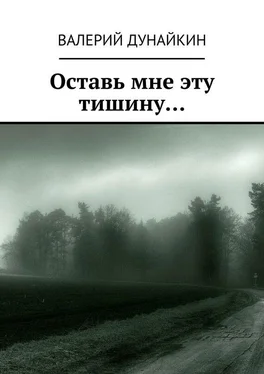 Валерий Дунайкин Оставь мне эту тишину… обложка книги