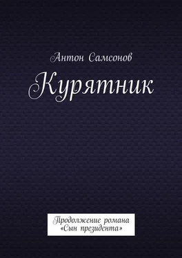 Антон Самсонов Курятник обложка книги