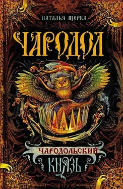 Наталья Щерба Чародольский князь обложка книги