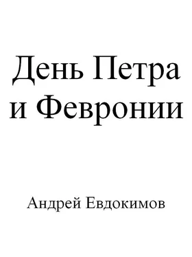 Андрей Евдокимов День Петра и Февронии обложка книги