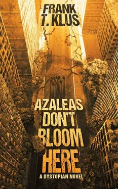 Frank Klus Azaleas Don't Bloom Here обложка книги