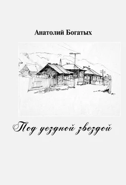 Анатолий Богатых Под уездной звездой обложка книги