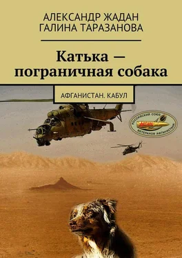 Галина Таразанова Катька – пограничная собака обложка книги