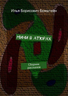 Илья Бомштейн Мини в атюрах обложка книги