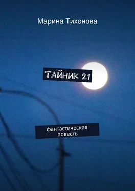 Марина Тихонова Тайник 21 обложка книги
