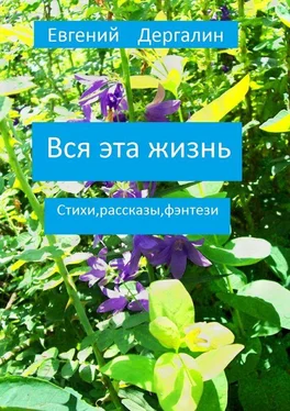 Евгений Дергалин Вся эта жизнь обложка книги