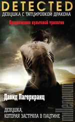 Давид Лагеркранц - Девушка, которая застряла в паутине