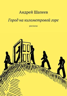 Андрей Шапеев Город на километровой горе обложка книги