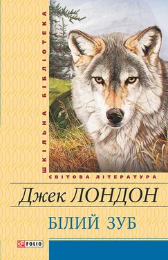 Джек Лондон Білий зуб обложка книги