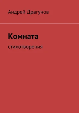 Андрей Драгунов Комната обложка книги